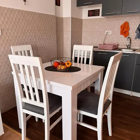 Flower And Love Flat Next To Centar Of Podgorica Exterior photo
