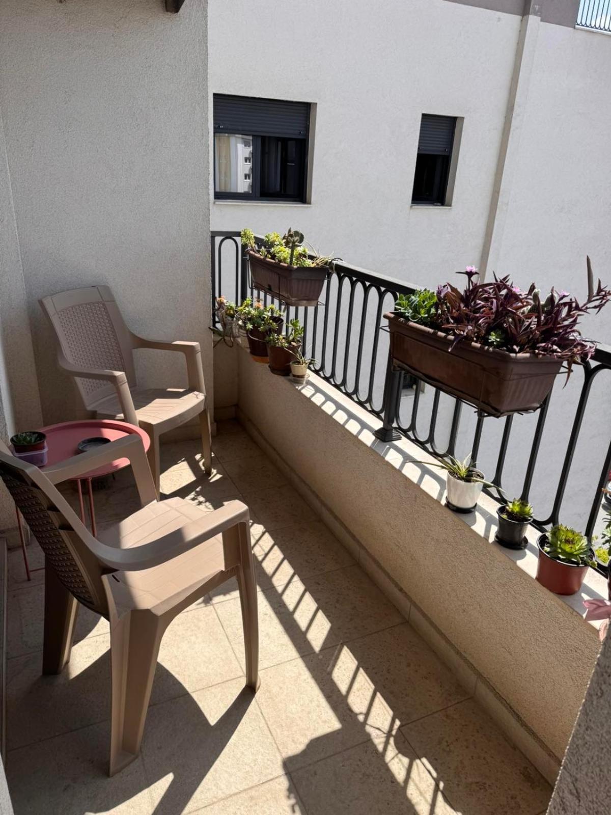 Apartment Flower And Flat Next To Centar Of Podgorica